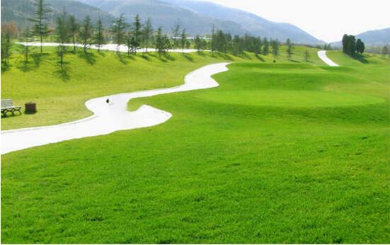 園林綠化改造工程施工常見誤區，您中招了嗎？