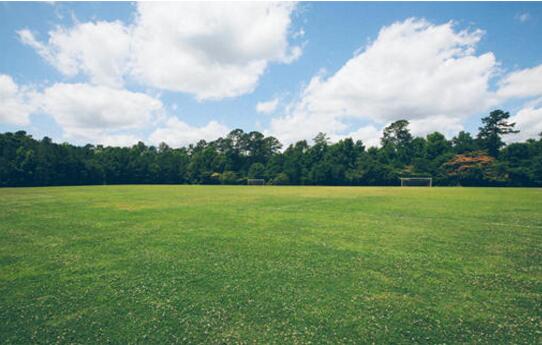 園林綠化工程施工要點介紹 