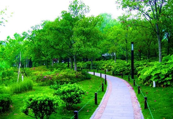 園林綠化養護的方法