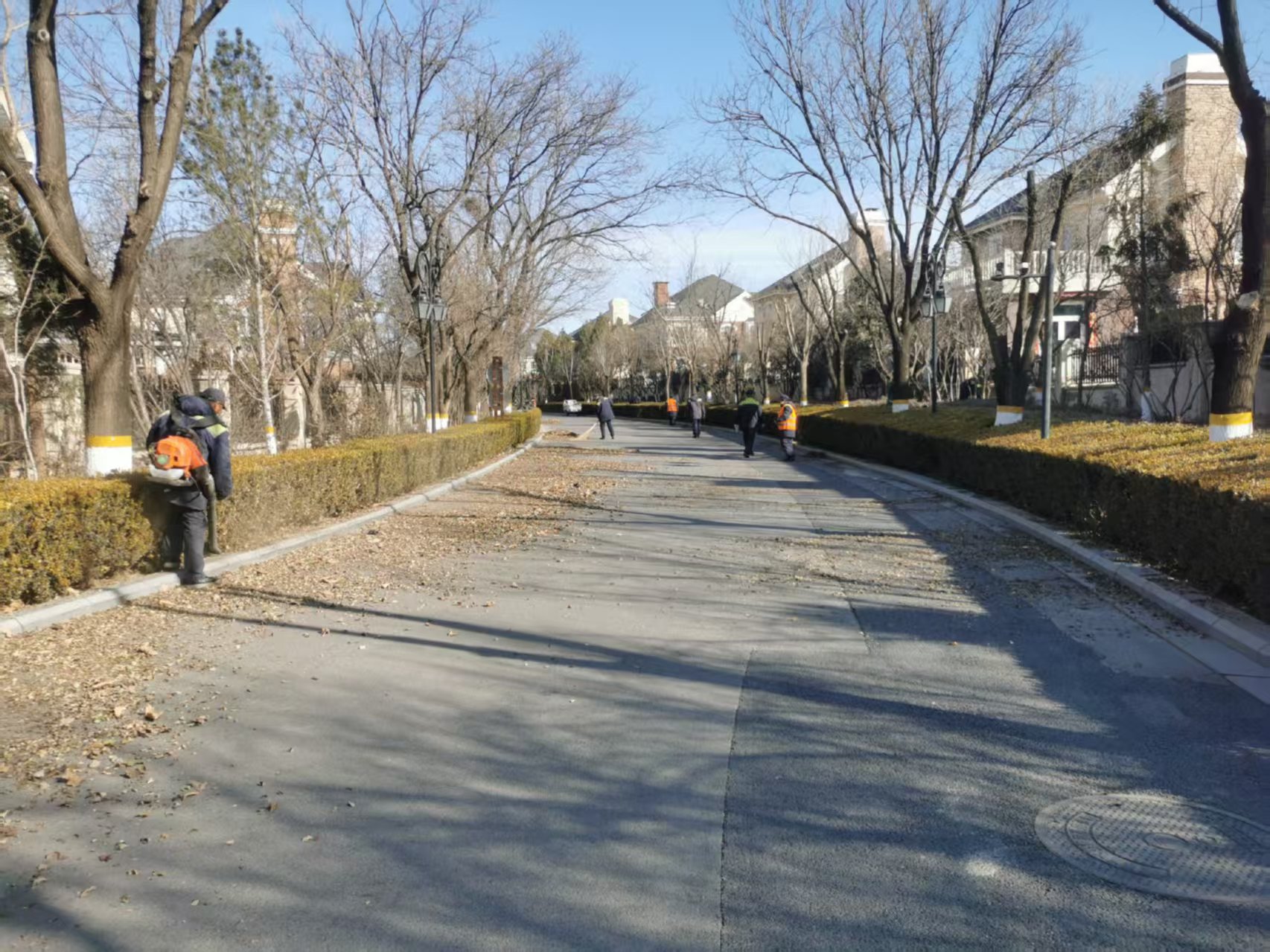 北京春季園林綠化養護指南之春季清園